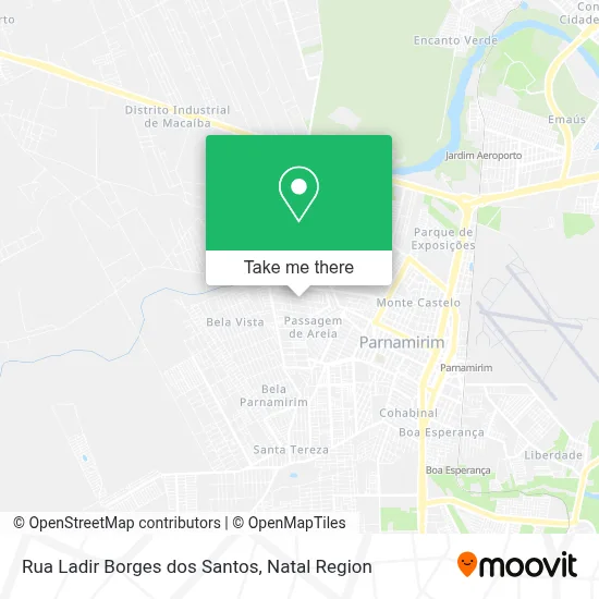 Rua Ladir Borges dos Santos map