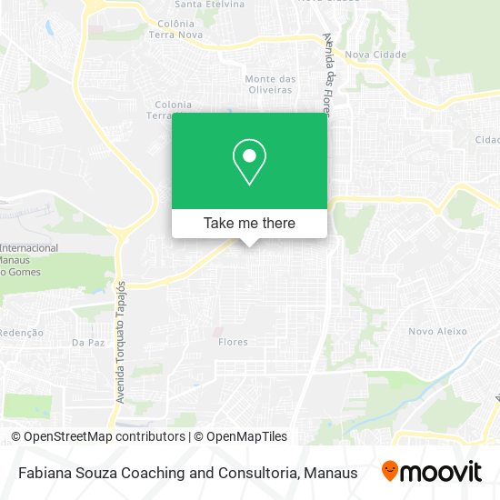 Fabiana Souza Coaching and Consultoria map