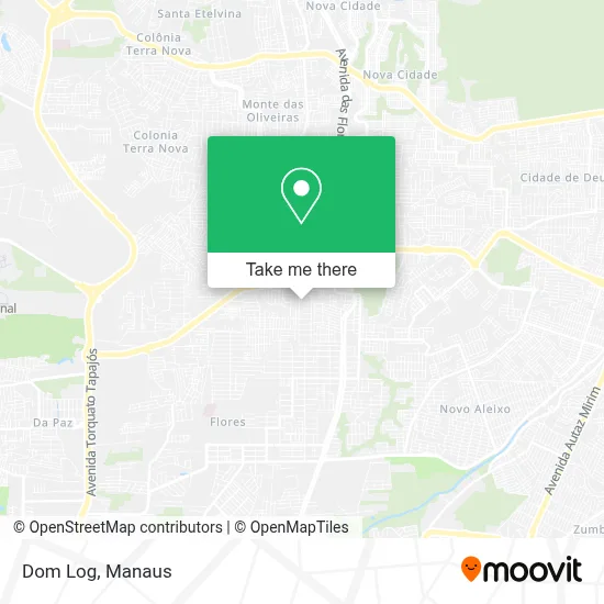 Dom Log map