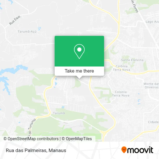 Rua das Palmeiras map