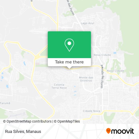 Rua Silves map