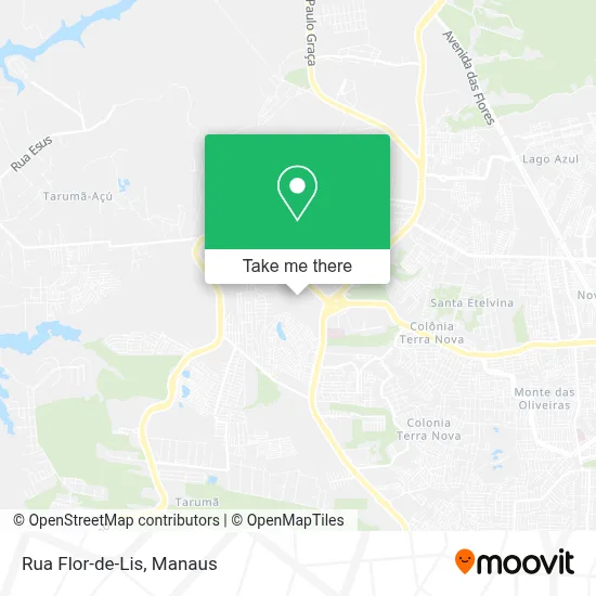 Rua Flor-de-Lis map