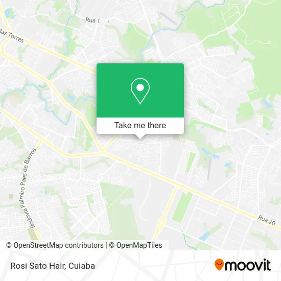 Rosi Sato Hair map