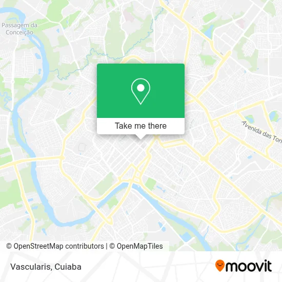 Vascularis map