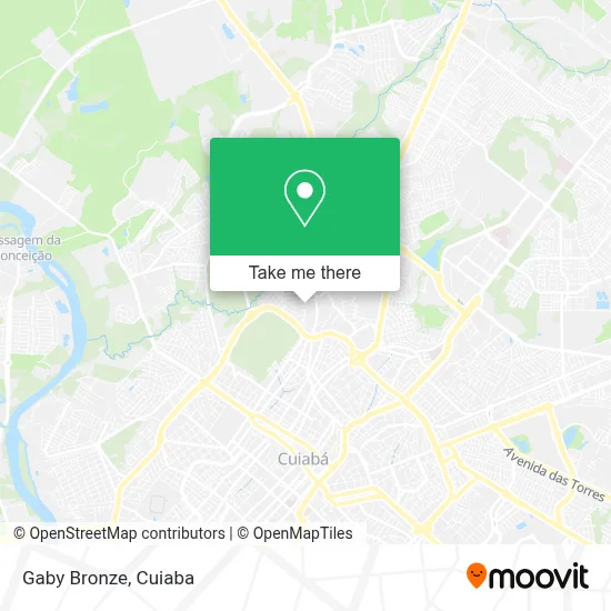 Gaby Bronze map