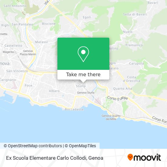 Ex Scuola Elementare Carlo Collodi map