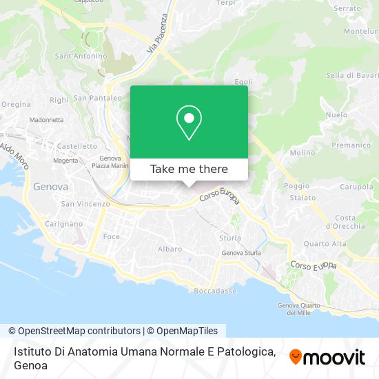 Istituto Di Anatomia Umana Normale E Patologica map