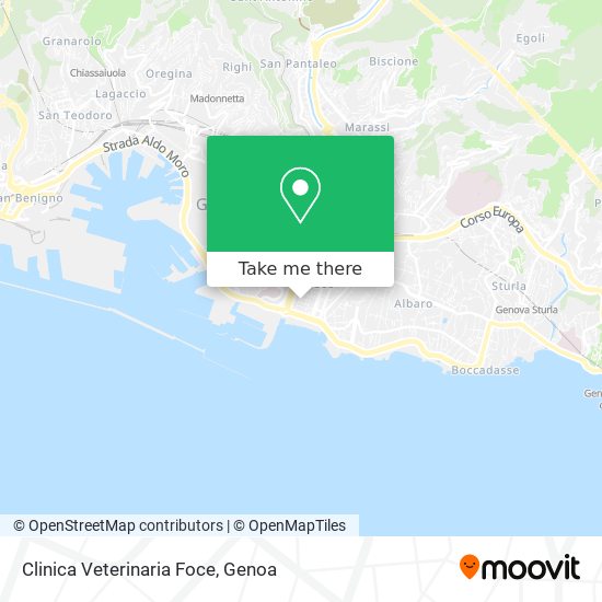 Clinica Veterinaria Foce map