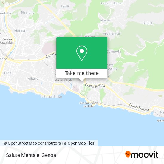Salute Mentale map