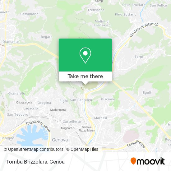 Tomba Brizzolara map