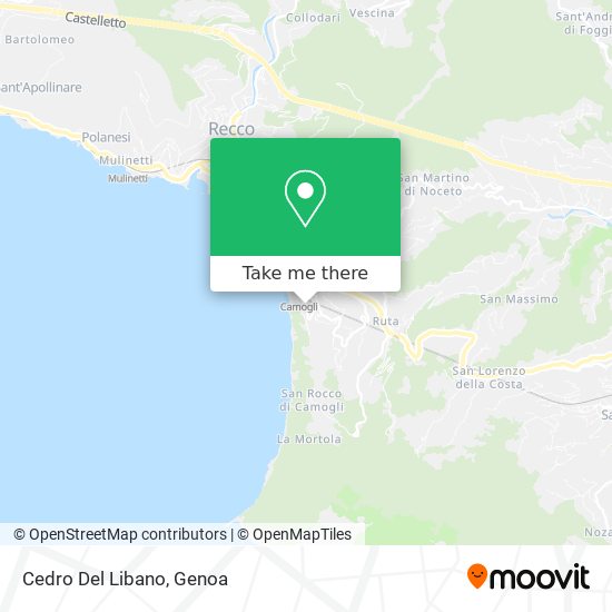 Cedro Del Libano map