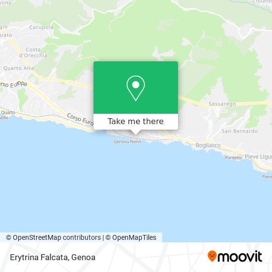 Erytrina Falcata map