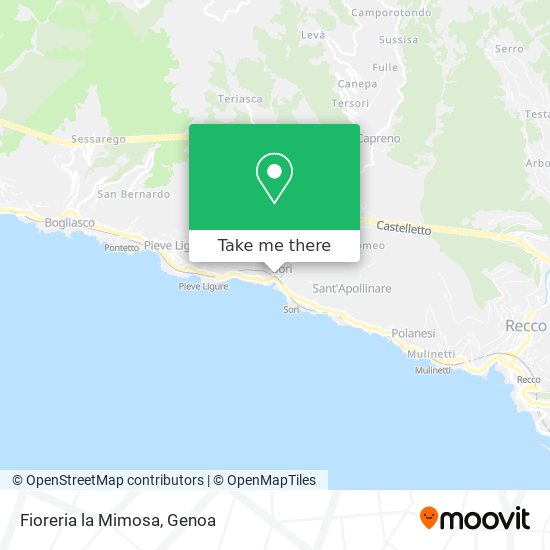 Fioreria la Mimosa map