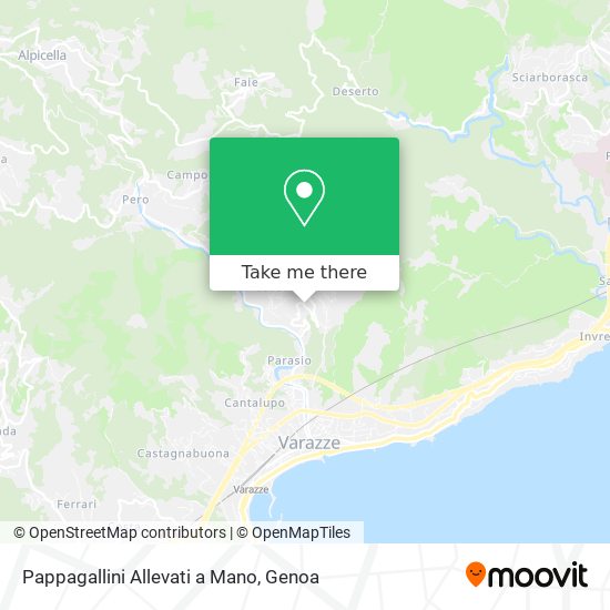 Pappagallini Allevati a Mano map