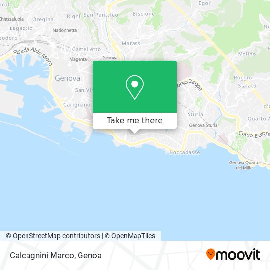 Calcagnini Marco map