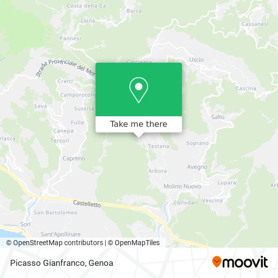 Picasso Gianfranco map