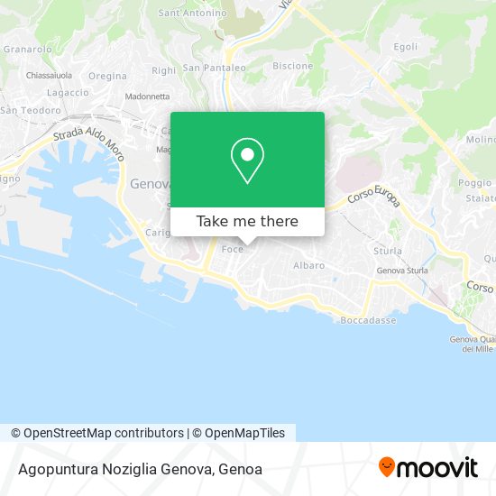 Agopuntura Noziglia Genova map