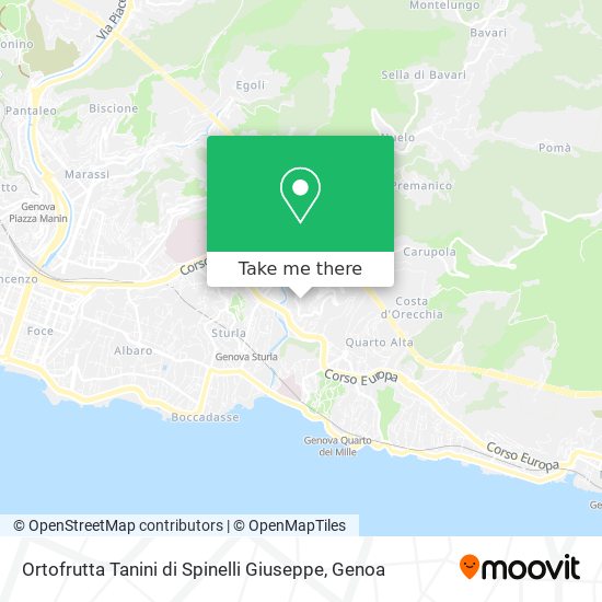 Ortofrutta Tanini di Spinelli Giuseppe map