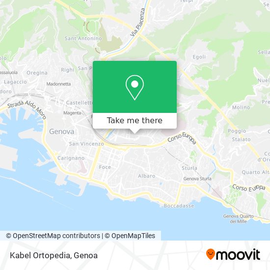 Kabel Ortopedia map