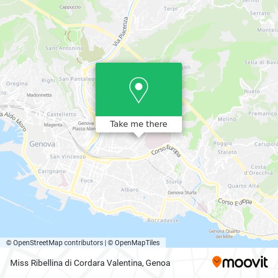 Miss Ribellina di Cordara Valentina map