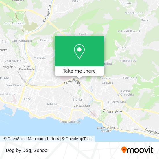 Dog by Dog map