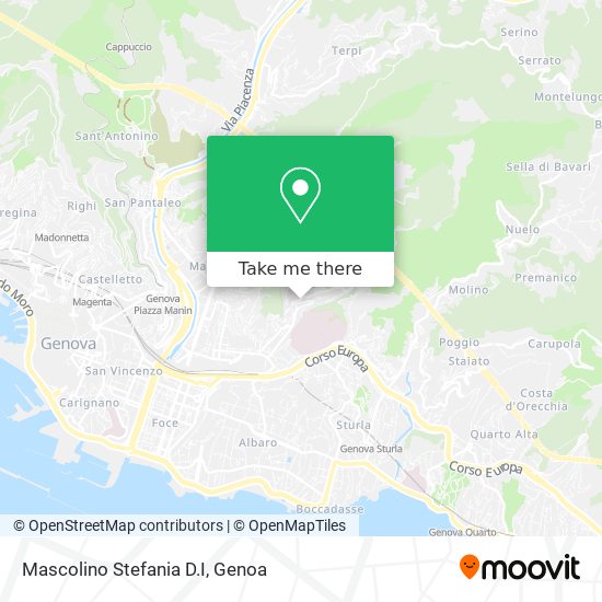 Mascolino Stefania D.I map
