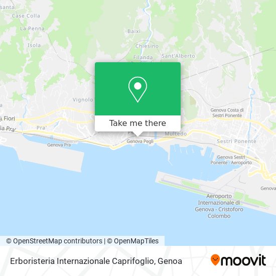 Erboristeria Internazionale Caprifoglio map