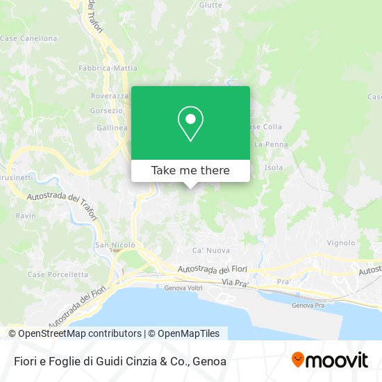Fiori e Foglie di Guidi Cinzia & Co. map