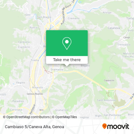 Cambiaso 5/Caneva Alta map
