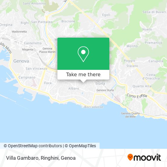Villa Gambaro, Ringhini map