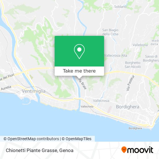 Chionetti Piante Grasse map