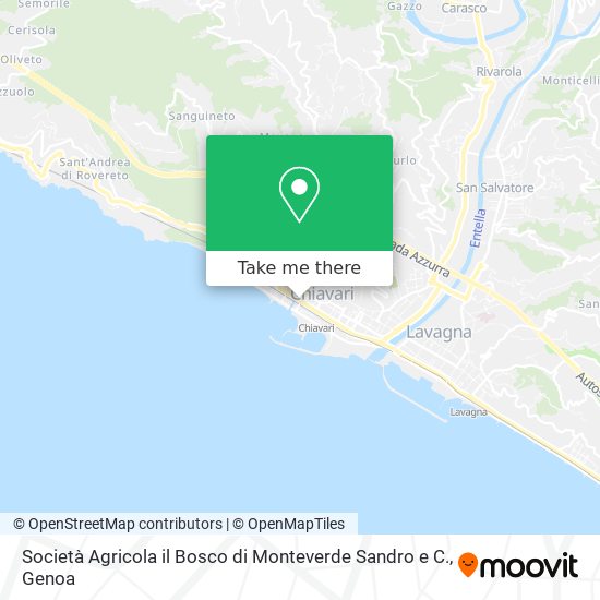 Società Agricola il Bosco di Monteverde Sandro e C. map