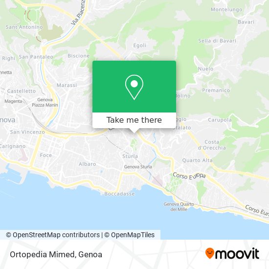 Ortopedia Mimed map