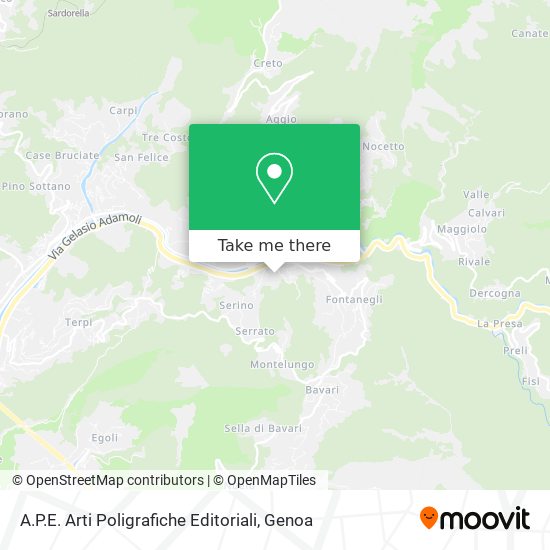 A.P.E. Arti Poligrafiche Editoriali map