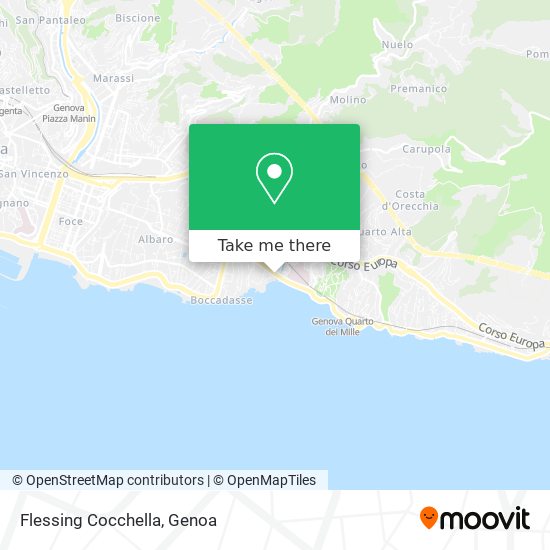 Flessing Cocchella map