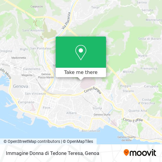 Immagine Donna di Tedone Teresa map