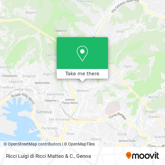 Ricci Luigi di Ricci Matteo & C. map