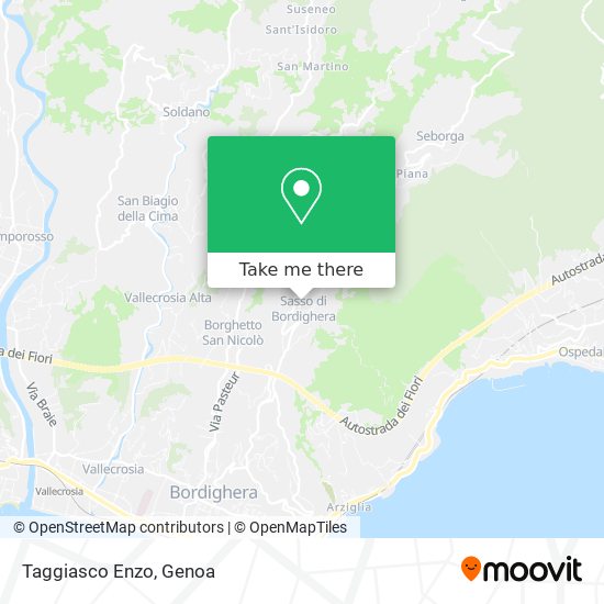 Taggiasco Enzo map