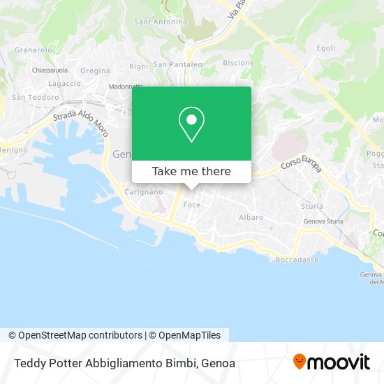 Teddy Potter Abbigliamento Bimbi map