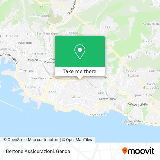 Bertone Assicurazioni map
