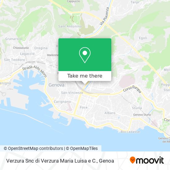 Verzura Snc di Verzura Maria Luisa e C. map