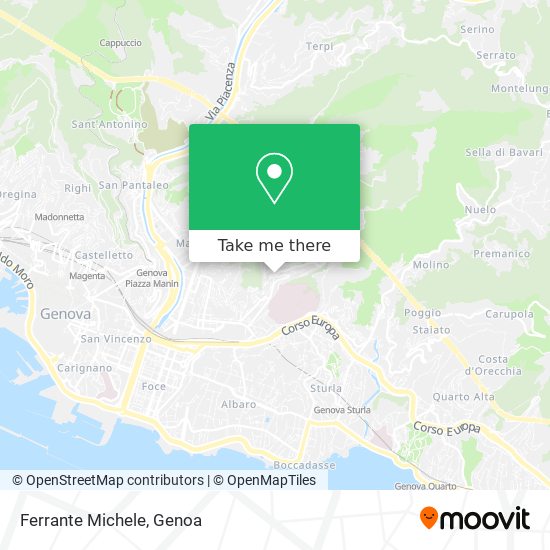 Ferrante Michele map