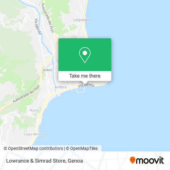 Lowrance & Simrad Store map