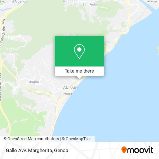 Gallo Avv. Margherita map