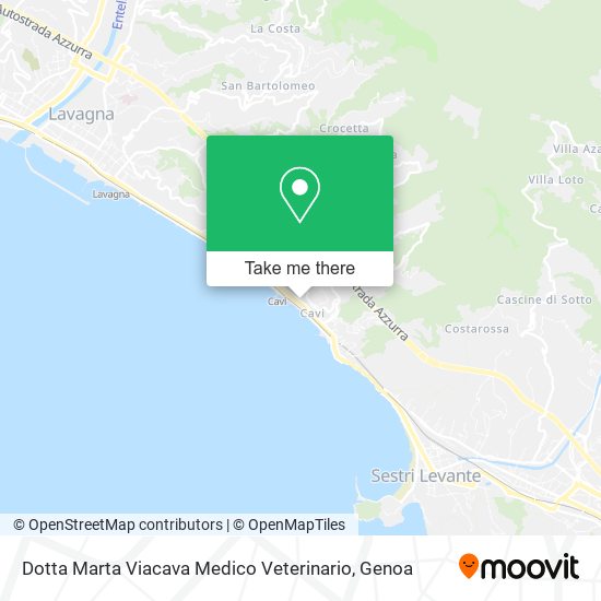 Dotta Marta Viacava Medico Veterinario map