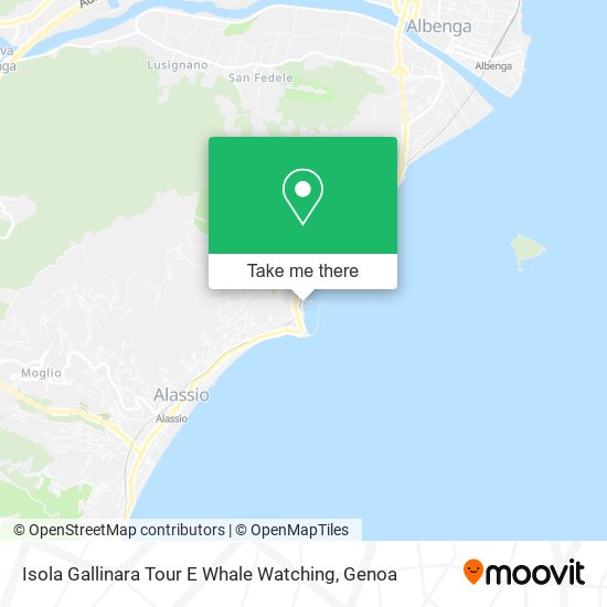Isola Gallinara Tour E Whale Watching map