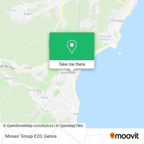 Moses' Group E20 map