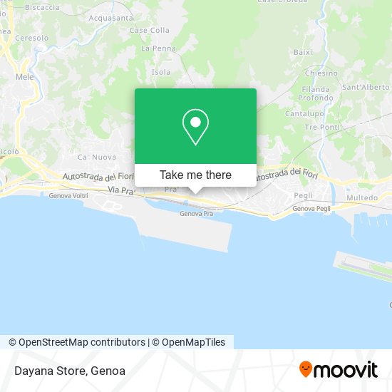 Dayana Store map