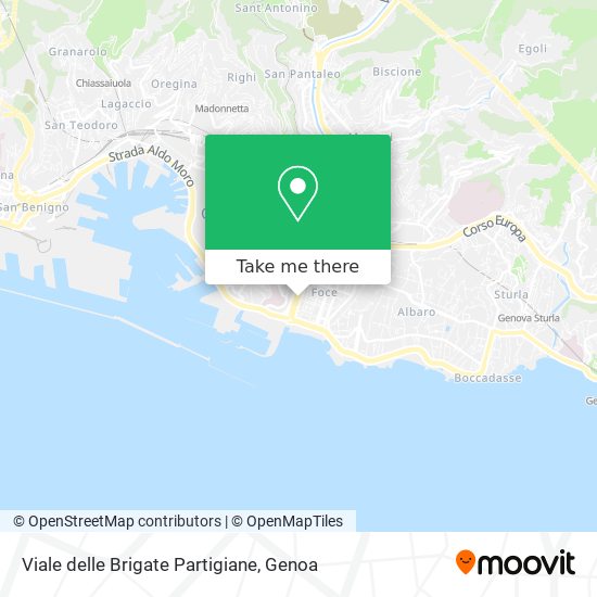 Viale delle Brigate Partigiane map