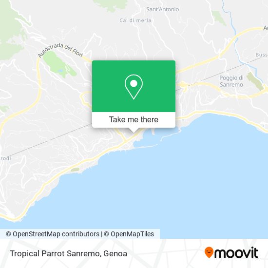 Tropical Parrot Sanremo map